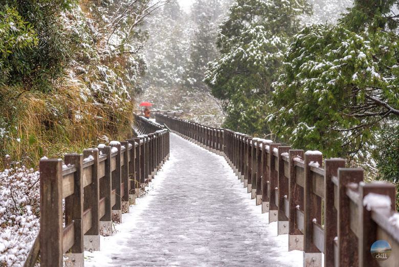 2025太平山稀有三月雪深度旅遊 住宿1040元包早晚餐？日出秘境！