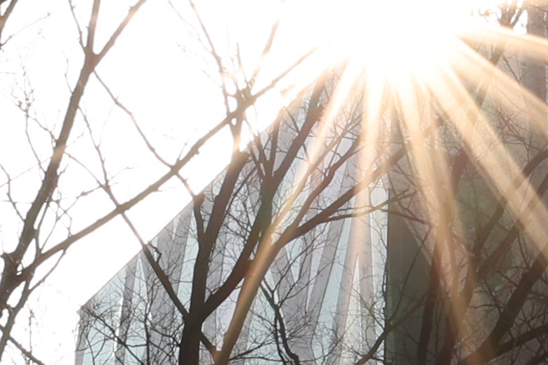 Canon RF 16-28mm f/2.8 IS STM 評測報告｜平民超廣角鏡皇、輕巧可靠且超值！