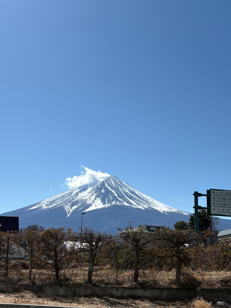 漫遊河口湖:一天的療癒之旅