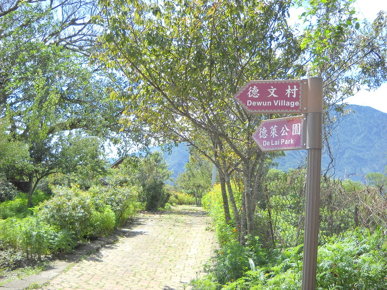 登德文觀望山尋找「吊人樹」之旅