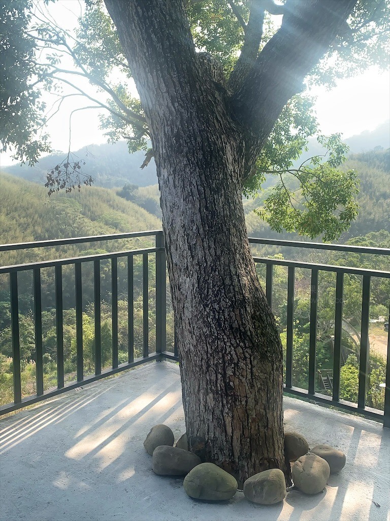 蟲鳴鳥語、竹林群山環繞、星光點點,讓人和毛孩都感到放鬆的渡假莊園