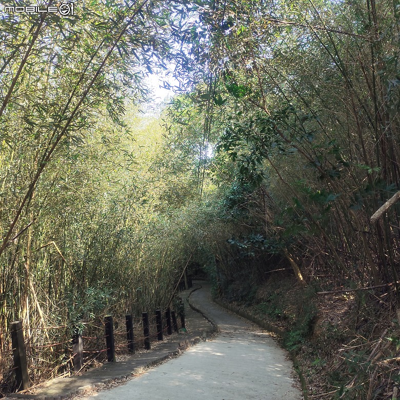 東勢區小中嵙健行步道，結合周遭景點才好玩的步道! 😂