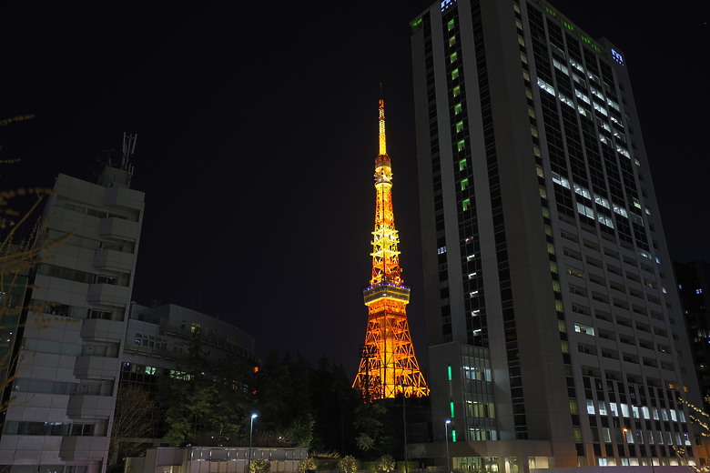 Canon RF 16-28mm f/2.8 IS STM 評測報告｜平民超廣角鏡皇、輕巧可靠且超值！