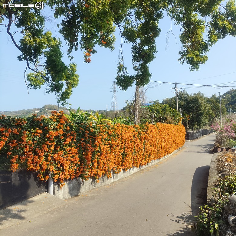 東勢區小中嵙健行步道，結合周遭景點才好玩的步道! 😂