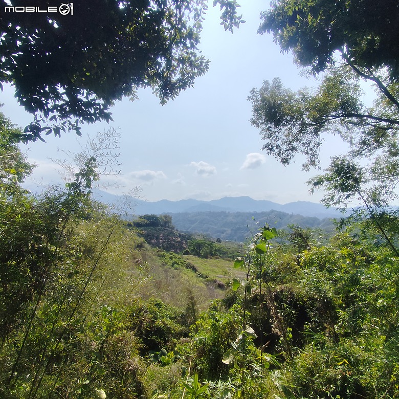 東勢區小中嵙健行步道，結合周遭景點才好玩的步道! 😂