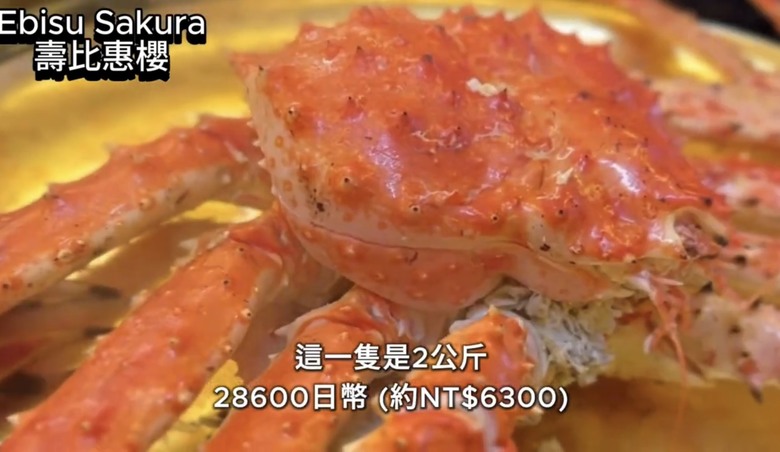 北海道札幌美食大爆發🔥 帝王蟹、湯咖哩、和牛海膽燒肉吃到爽!二條市場 x AOAO水族館 x 三角市場
