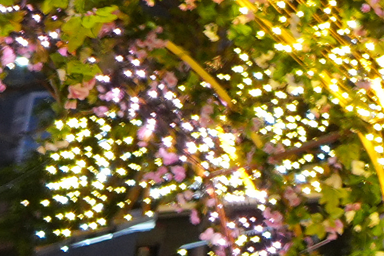 Sony FE 16mm f/1.8 G 評測報告｜輕巧多工超廣角、多一顆也無妨！