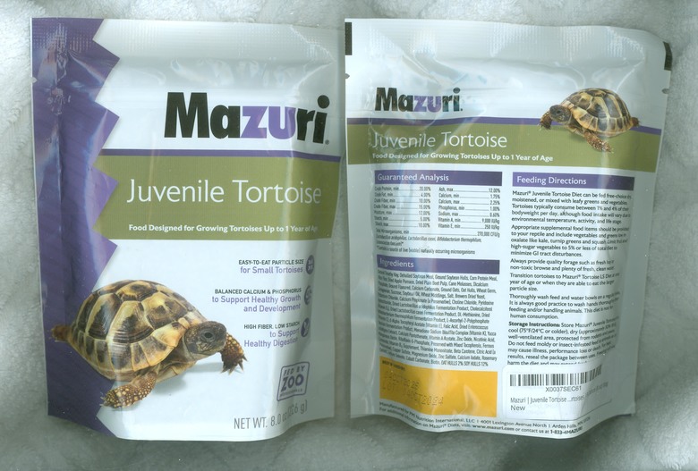 點我看大圖 Leopard Tortoise豹龜孵化從幼龜養起的百貨