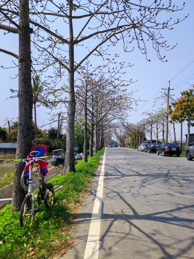 2025年，嘉南，小小孩的騎旅，日不落木棉花道^_^