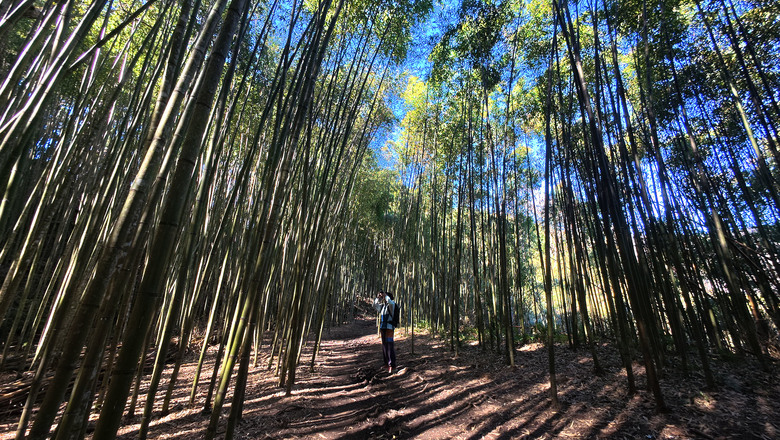 點我看大圖 【霞喀羅古道】一日往返日治時期的白石駐在所