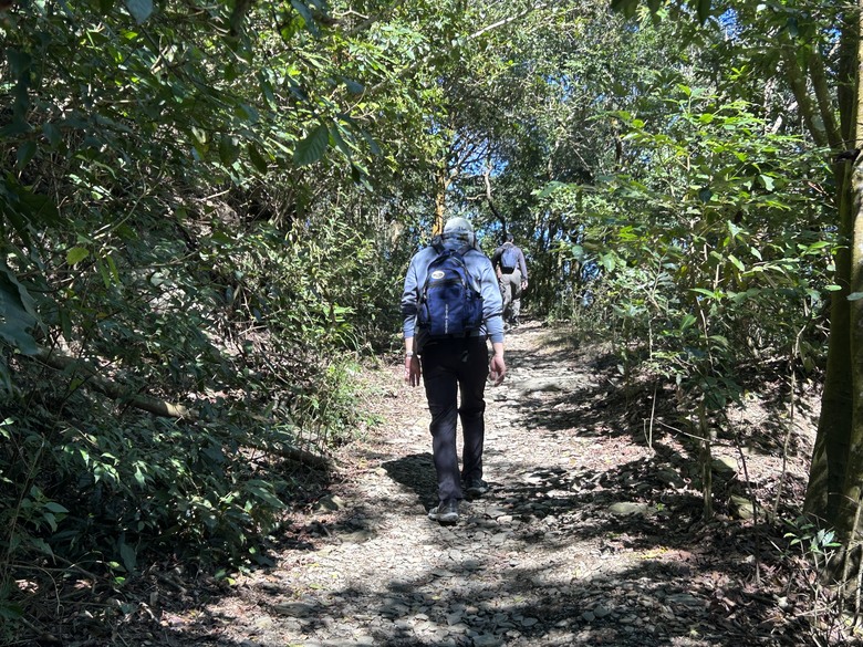 登德文觀望山尋找「吊人樹」之旅