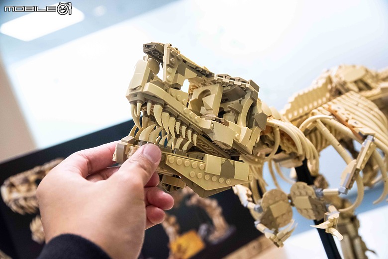 【樂高開箱】LEGO 76968 侏羅紀公園之暴龍化石登場，長度達一公尺的擬真震撼！