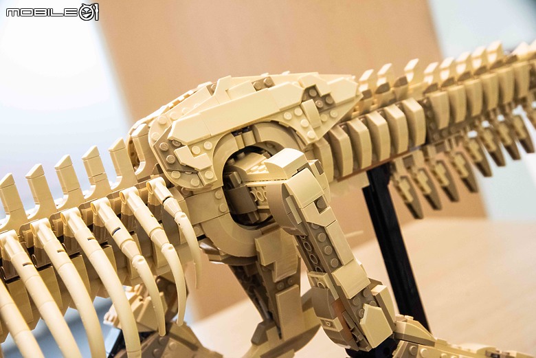 【樂高開箱】LEGO 76968 侏羅紀公園之暴龍化石登場，長度達一公尺的擬真震撼！