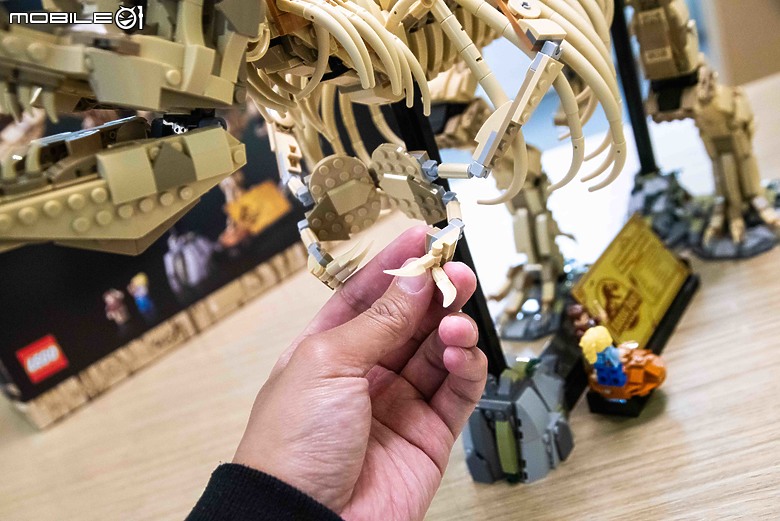【樂高開箱】LEGO 76968 侏羅紀公園之暴龍化石登場，長度達一公尺的擬真震撼！