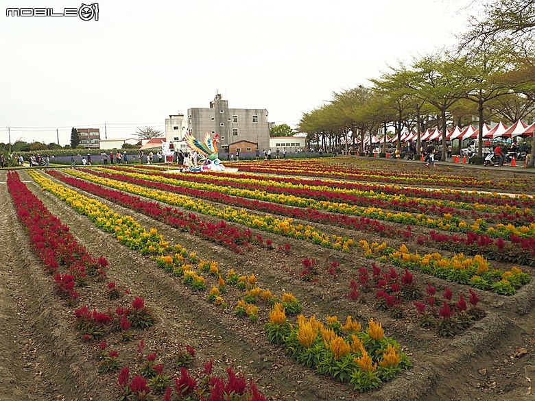 2025學甲蜀葵花文化節、新營波光節與2024 漫月美行動，附掛清安意麵與銀峰冰菓室 — 北臺南藝文活動大彙集
