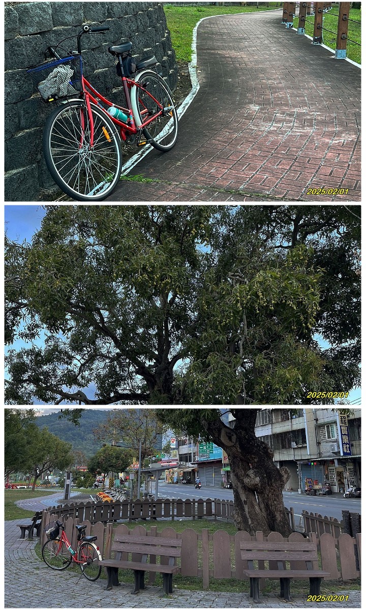38Dama 滿貫台中山線自行車道