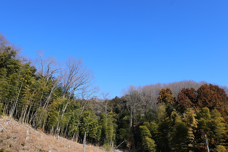 Canon RF 16-28mm f/2.8 IS STM 評測報告｜平民超廣角鏡皇、輕巧可靠且超值！
