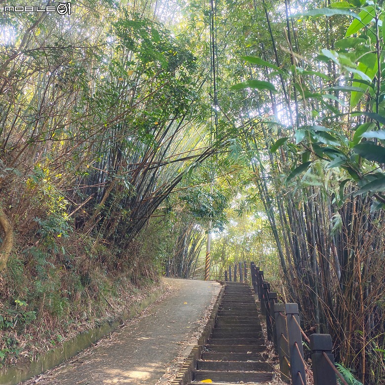 東勢區小中嵙健行步道，結合周遭景點才好玩的步道! 😂