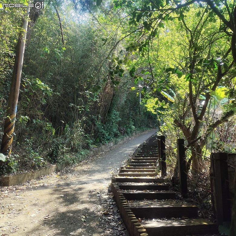 東勢區小中嵙健行步道，結合周遭景點才好玩的步道! 😂