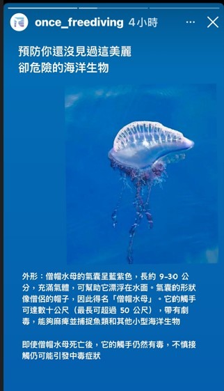 有防水母螫的方法嗎??