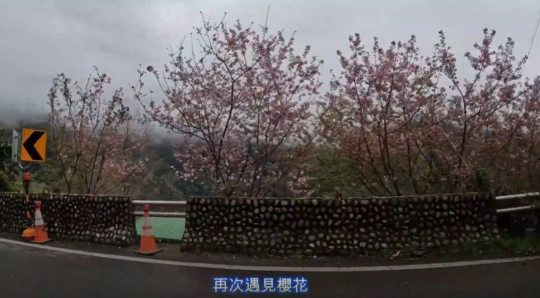 2025 櫻花勇士 - 挑戰極限 馳騁櫻花海