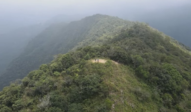 登德文觀望山尋找「吊人樹」之旅