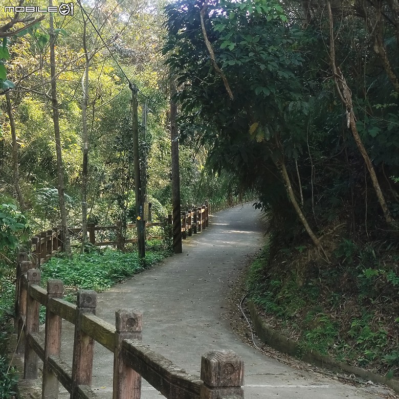 東勢區小中嵙健行步道，結合周遭景點才好玩的步道! 😂