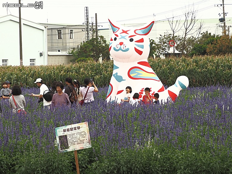 2025學甲蜀葵花文化節、新營波光節與2024 漫月美行動，附掛清安意麵與銀峰冰菓室 — 北臺南藝文活動大彙集