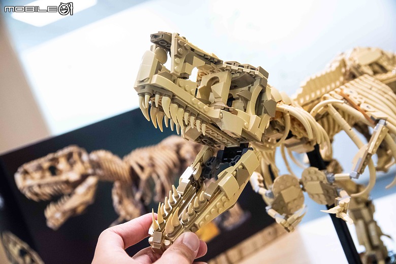 【樂高開箱】LEGO 76968 侏羅紀公園之暴龍化石登場，長度達一公尺的擬真震撼！