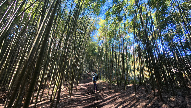 點我看大圖 【霞喀羅古道】一日往返日治時期的白石駐在所