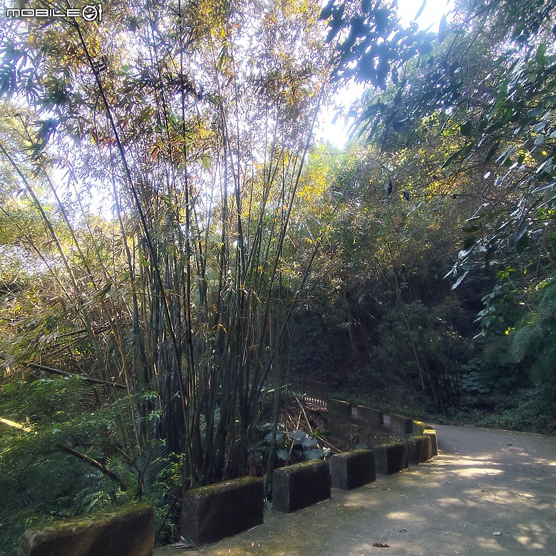 東勢區小中嵙健行步道，結合周遭景點才好玩的步道! 😂