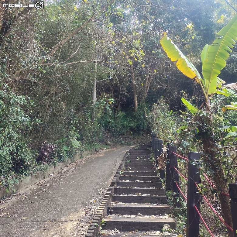 東勢區小中嵙健行步道，結合周遭景點才好玩的步道! 😂