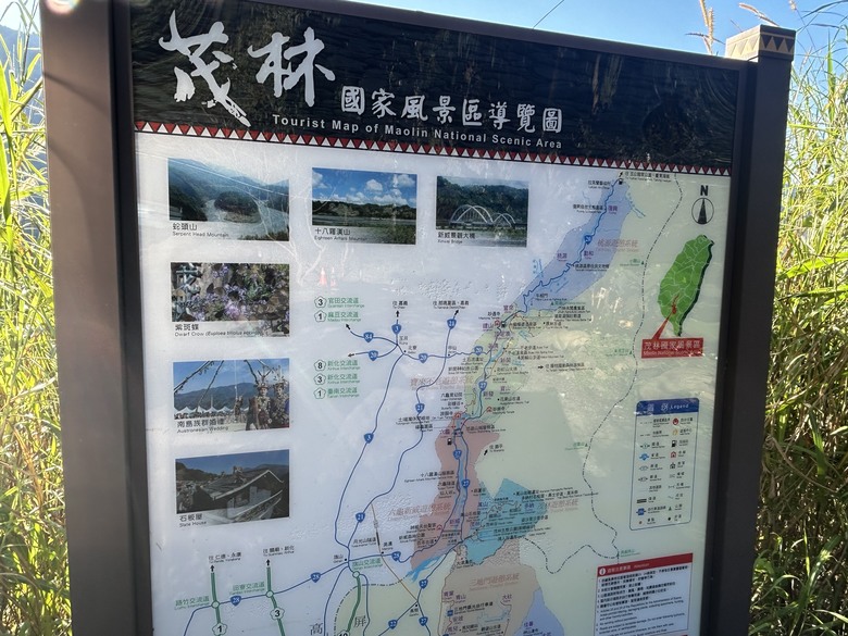 登德文觀望山尋找「吊人樹」之旅