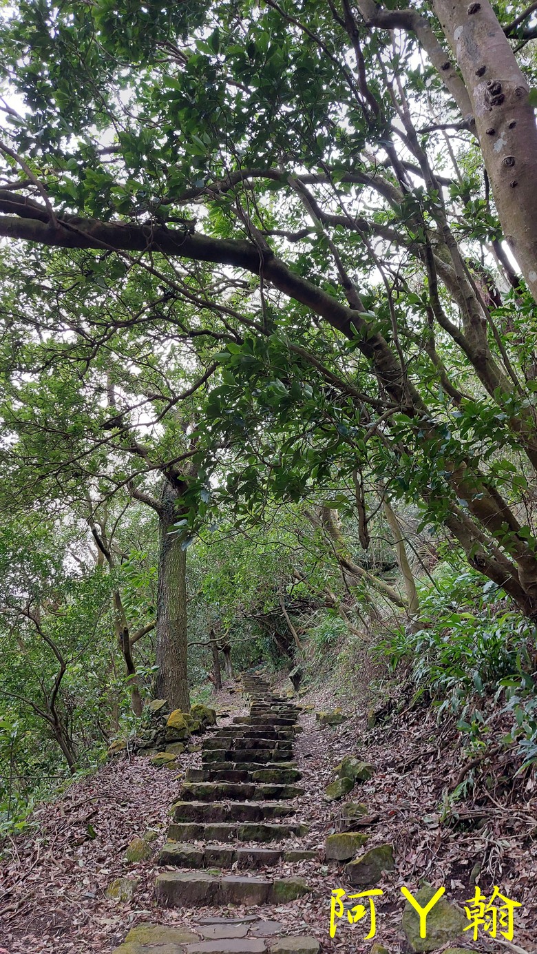 【郊山走走】 紗帽山、橫嶺古道 輕鬆健行