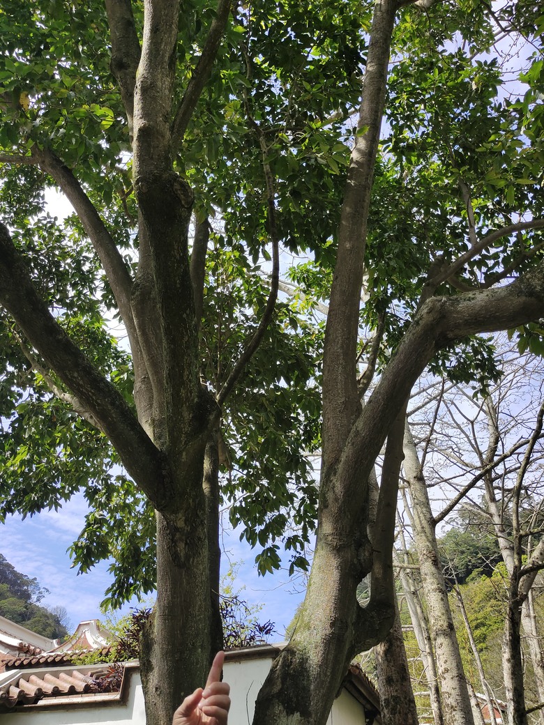 華人世界最美山中園林 - The One南園人文客棧遊記分享~