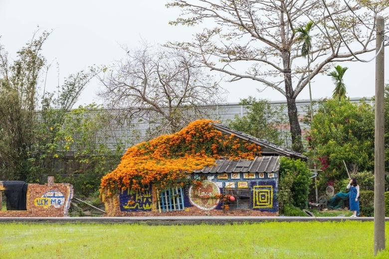 2025中部炮仗花懶人包!5處人氣壯觀花海 帶你看盡橘紅花瀑