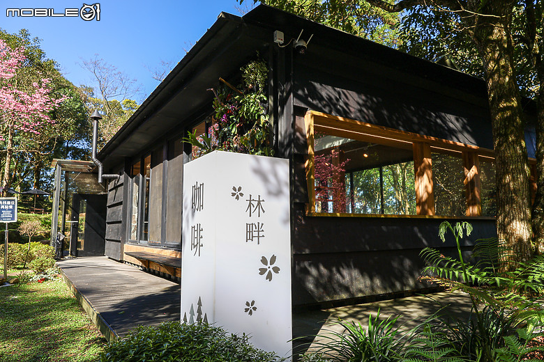 用RF24mm f/1.4L VCM拍下粉紅櫻花林，超夢幻！