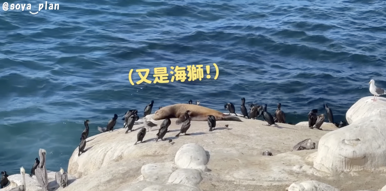 【美國語言學校推薦】Soya西岸遊學心得