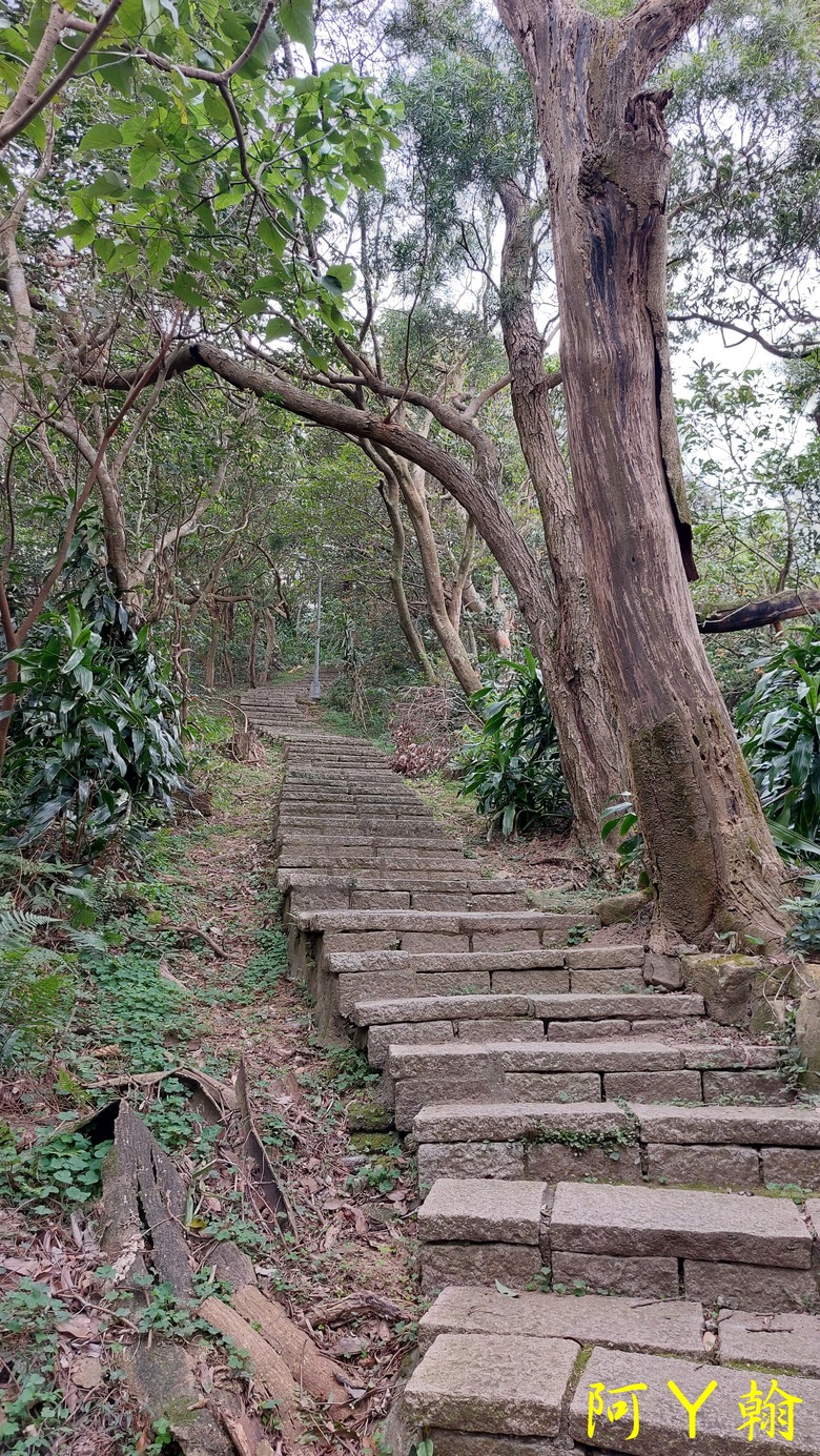 【郊山走走】 虎豹獅象 四獸山巡禮 遊山玩水兼賞台北101、市區山巒美景