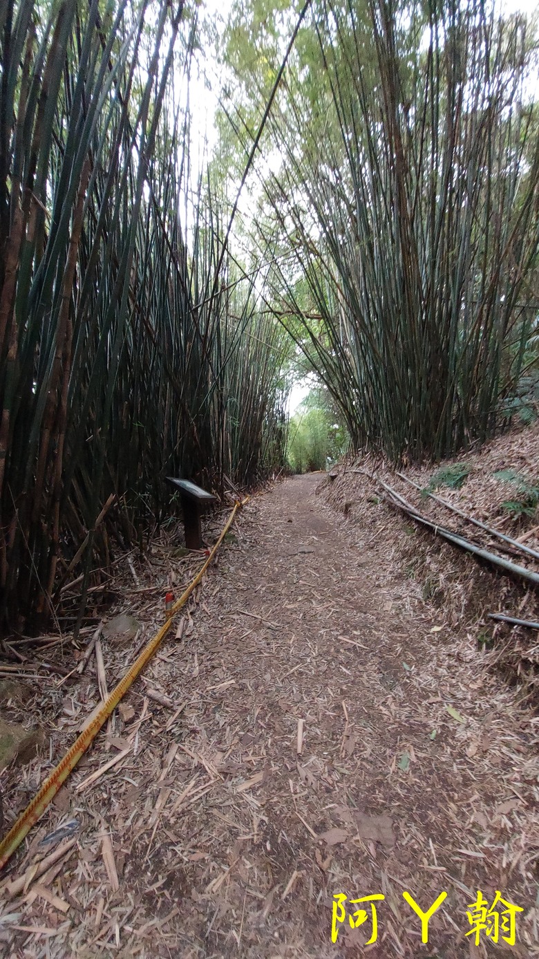 【郊山走走】 紗帽山、橫嶺古道 輕鬆健行