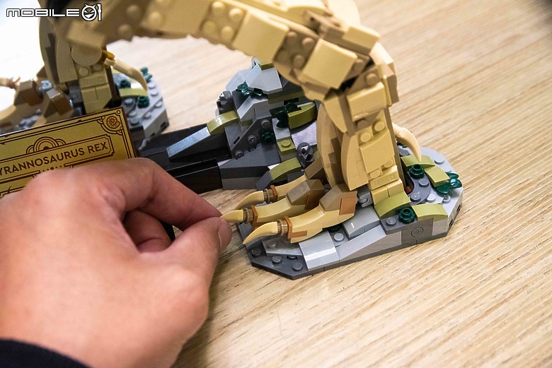 【樂高開箱】LEGO 76968 侏羅紀公園之暴龍化石登場，長度達一公尺的擬真震撼！