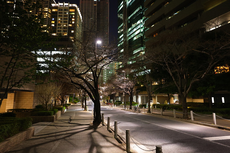 Canon RF 16-28mm f/2.8 IS STM 評測報告｜平民超廣角鏡皇、輕巧可靠且超值！