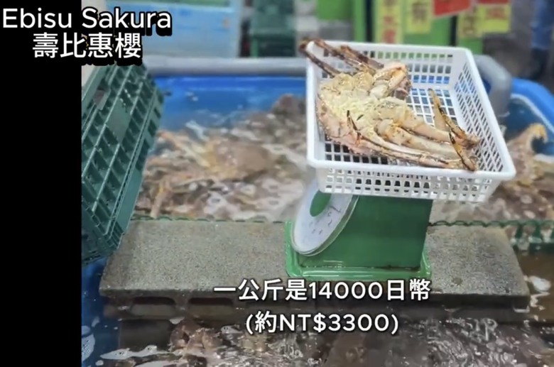 北海道札幌美食大爆發🔥 帝王蟹、湯咖哩、和牛海膽燒肉吃到爽!二條市場 x AOAO水族館 x 三角市場
