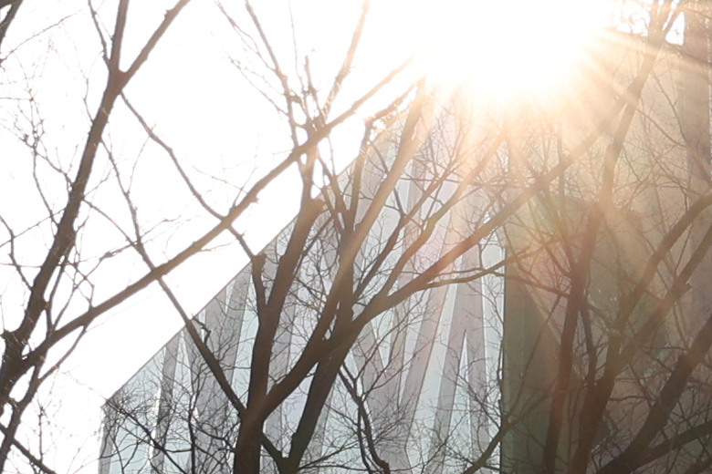 Canon RF 16-28mm f/2.8 IS STM 評測報告｜平民超廣角鏡皇、輕巧可靠且超值！