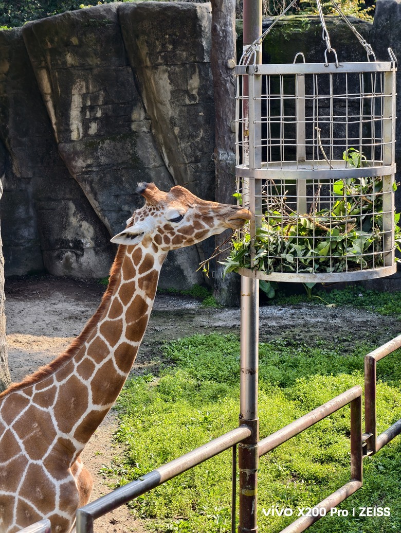 X200 Pro 動物園攝影心得feat. S25 Ultra