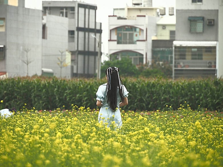 2025學甲蜀葵花文化節、新營波光節與2024 漫月美行動，附掛清安意麵與銀峰冰菓室 — 北臺南藝文活動大彙集