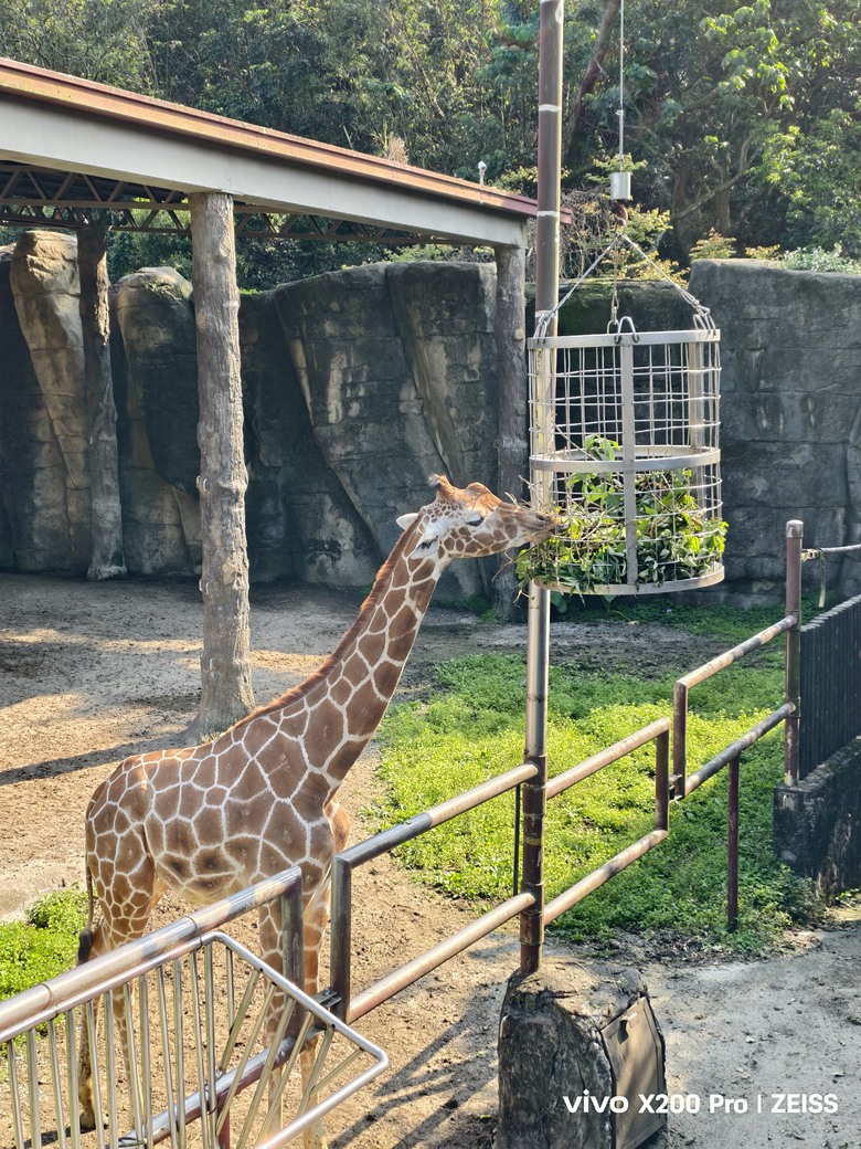 X200 Pro 動物園攝影心得feat. S25 Ultra