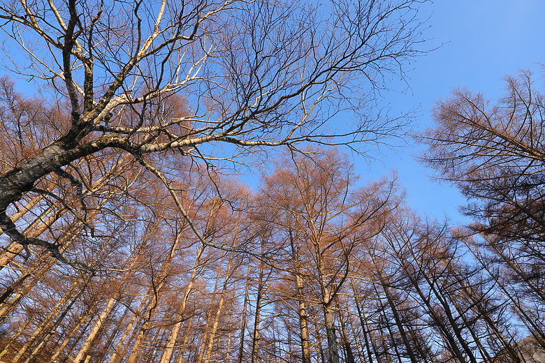 Canon RF 16-28mm f/2.8 IS STM 評測報告｜平民超廣角鏡皇、輕巧可靠且超值！