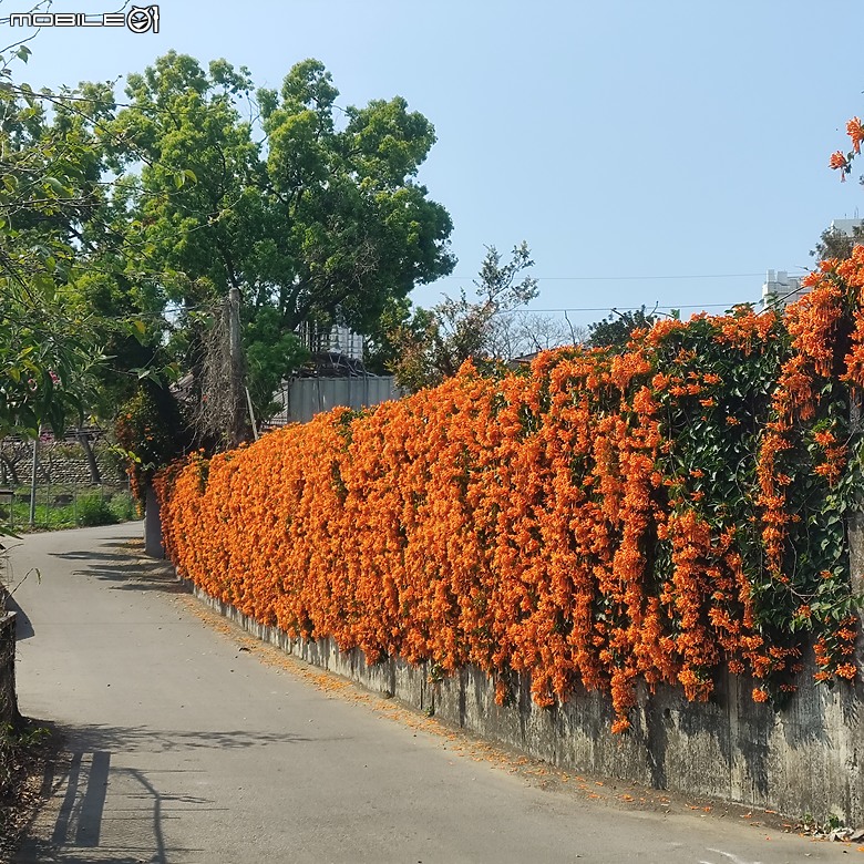 東勢區小中嵙健行步道，結合周遭景點才好玩的步道! 😂