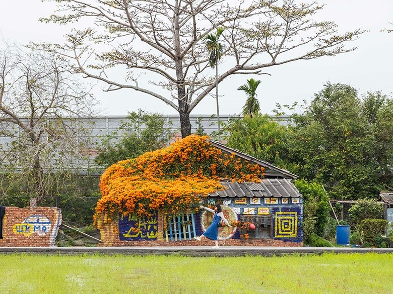 2025中部炮仗花懶人包!5處人氣壯觀花海 帶你看盡橘紅花瀑